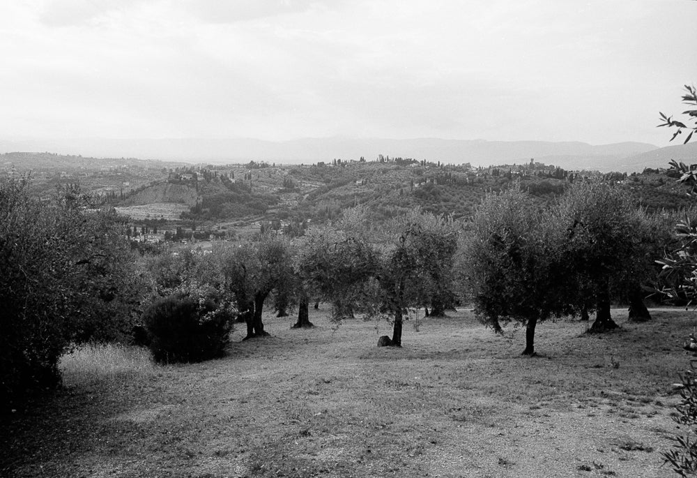 Vista delle colline fiorentine dove DILETTA ha creato la sua prima collezione di gioielli